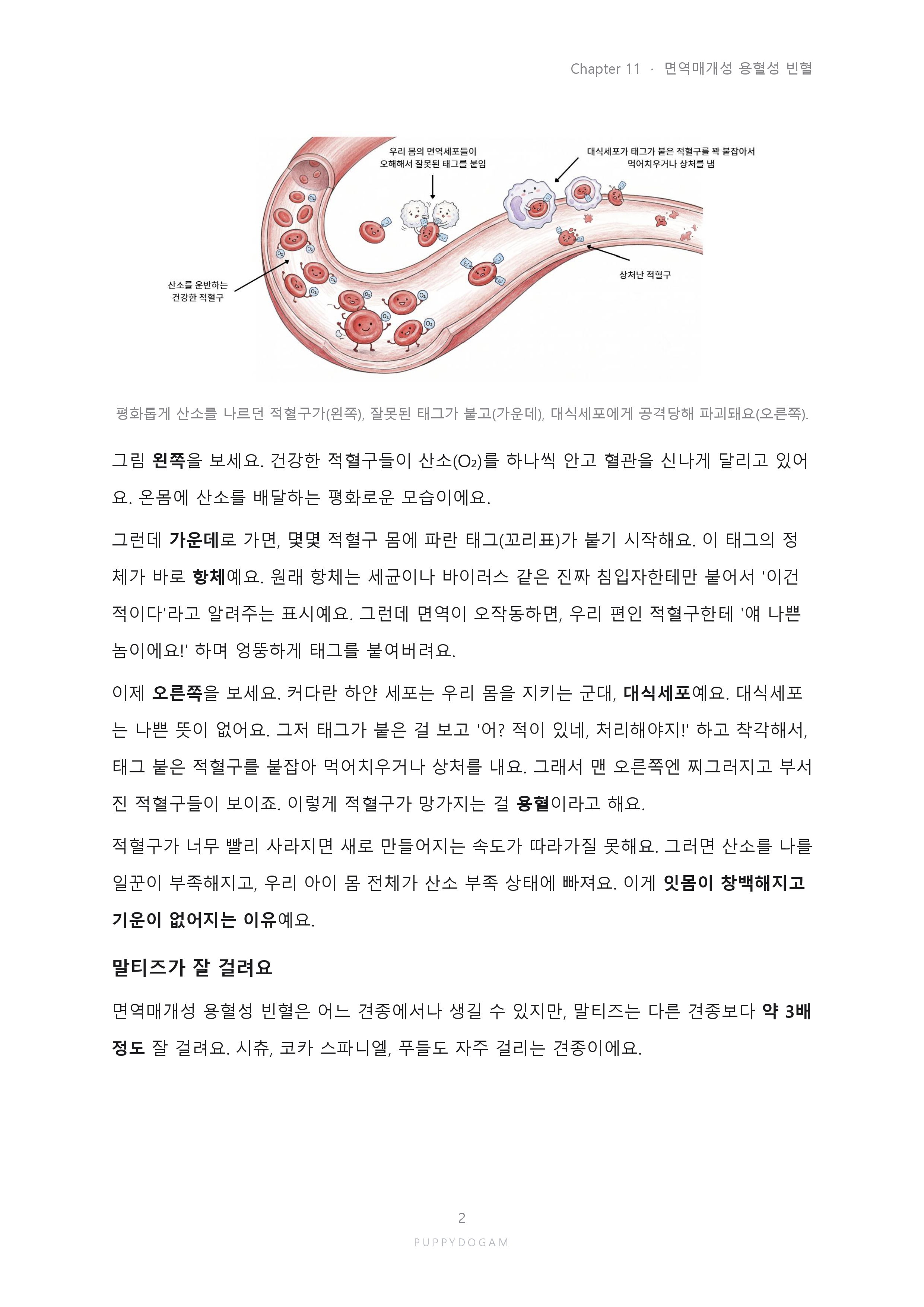 예시페이지7_page-0001