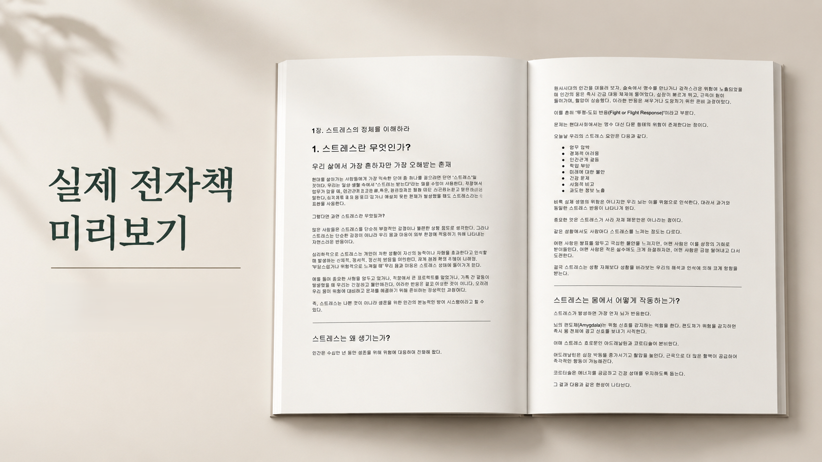 ChatGPT Image 2026년 7월 24일 오후 09_32_18 (4) ChatGPT Image 2026년 7월 24일 오후 09_32_18 (4)