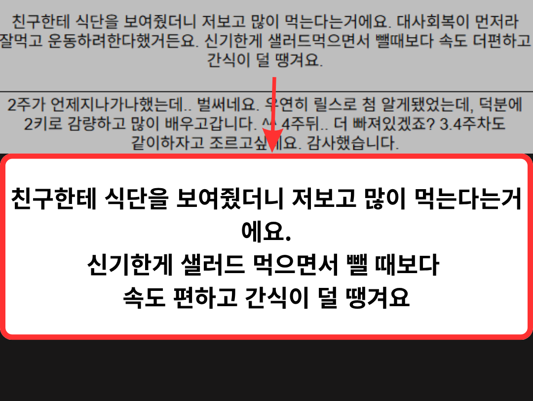 28일 5.4kg 감량 (41)