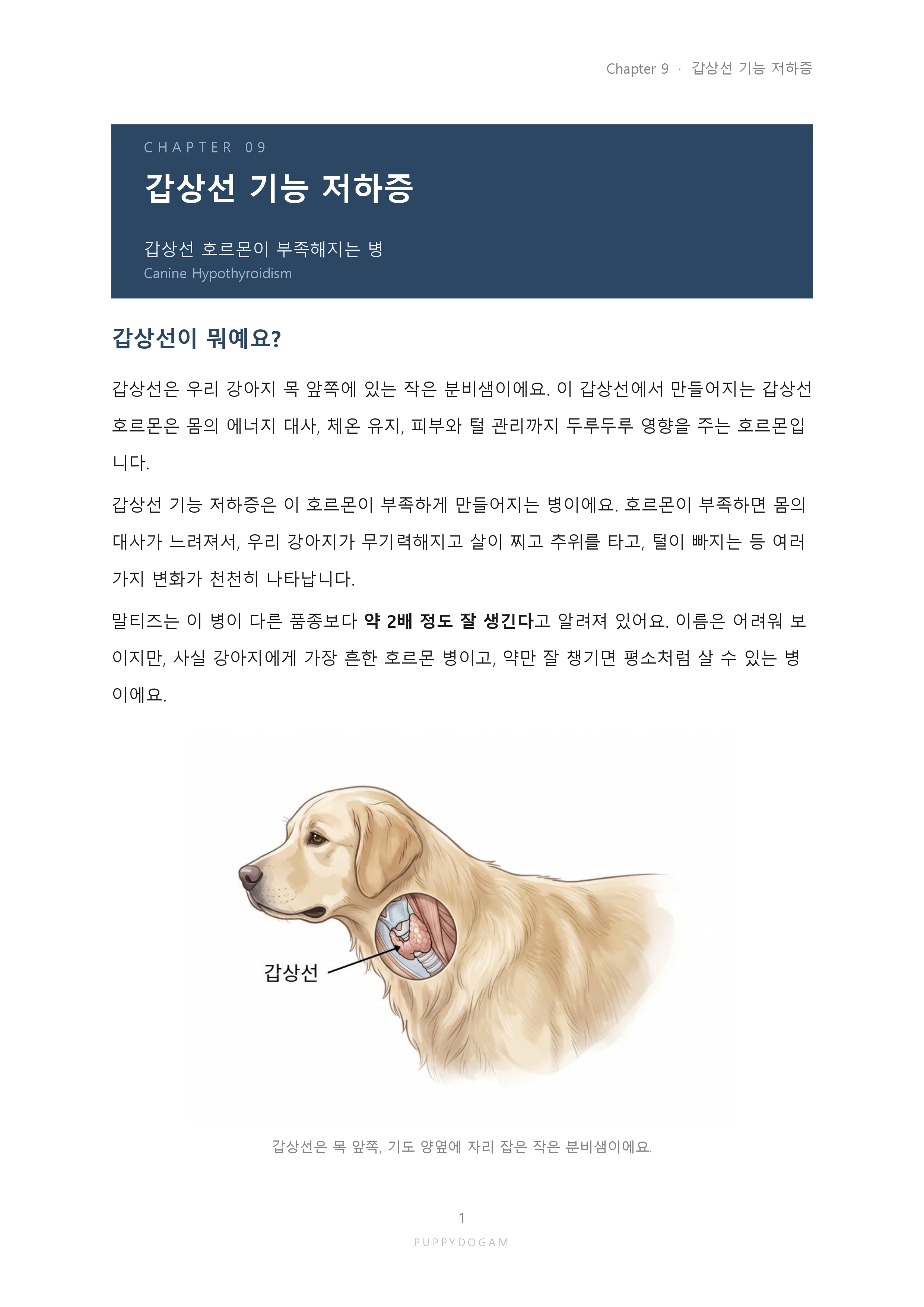 예시페이지5_page-0001