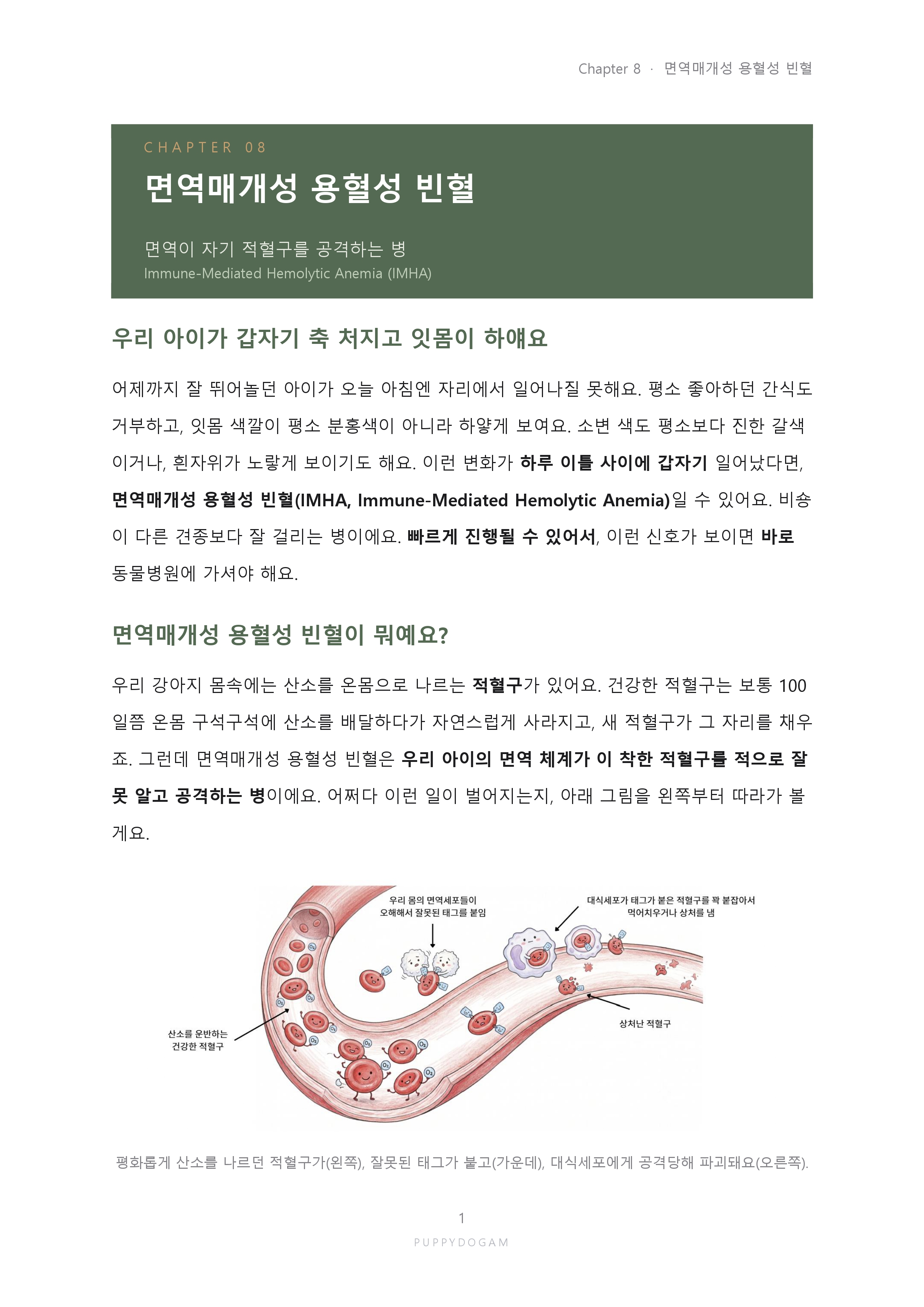 예시페이지3_page-0001