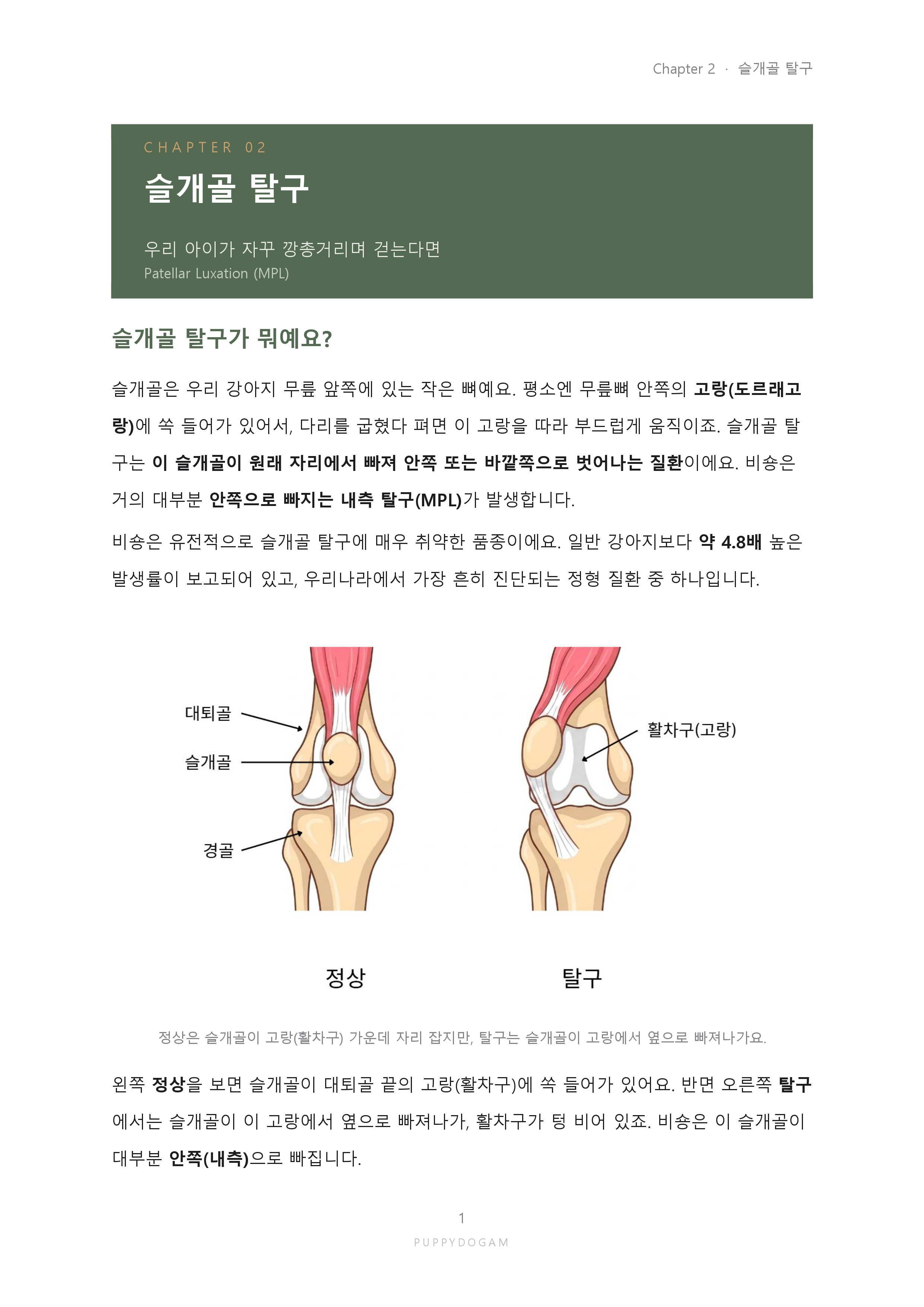 예시페이지1_page-0001