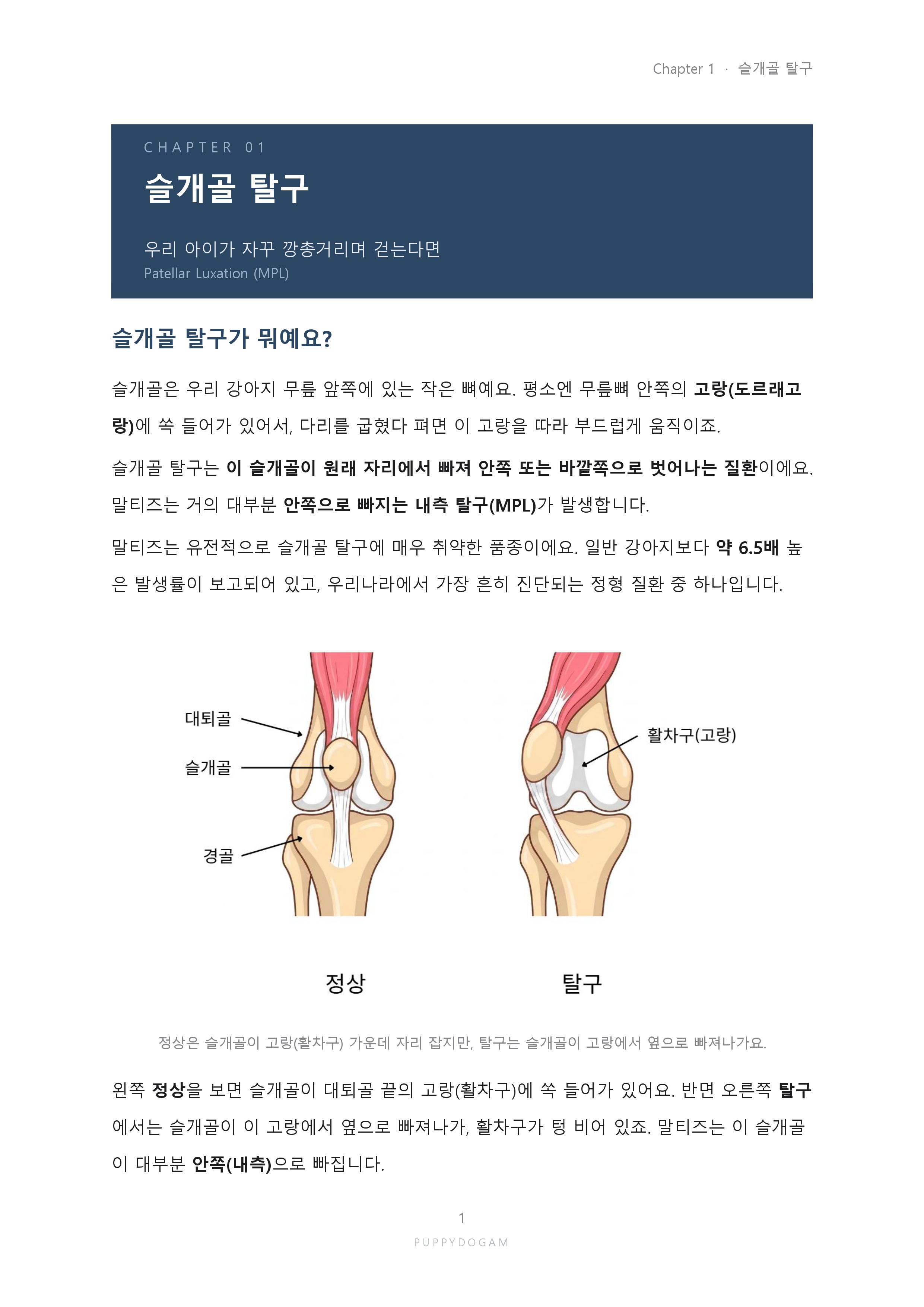 예시페이지1_page-0001